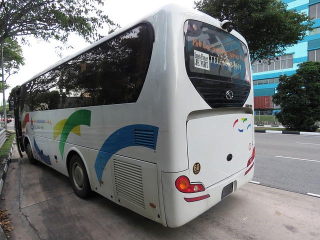 bus 2460482 640